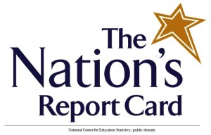 TheNationsReportCard small letters