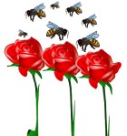 bees and roses
