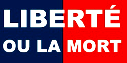 flag-of-indendendent-haiti-1803-1804